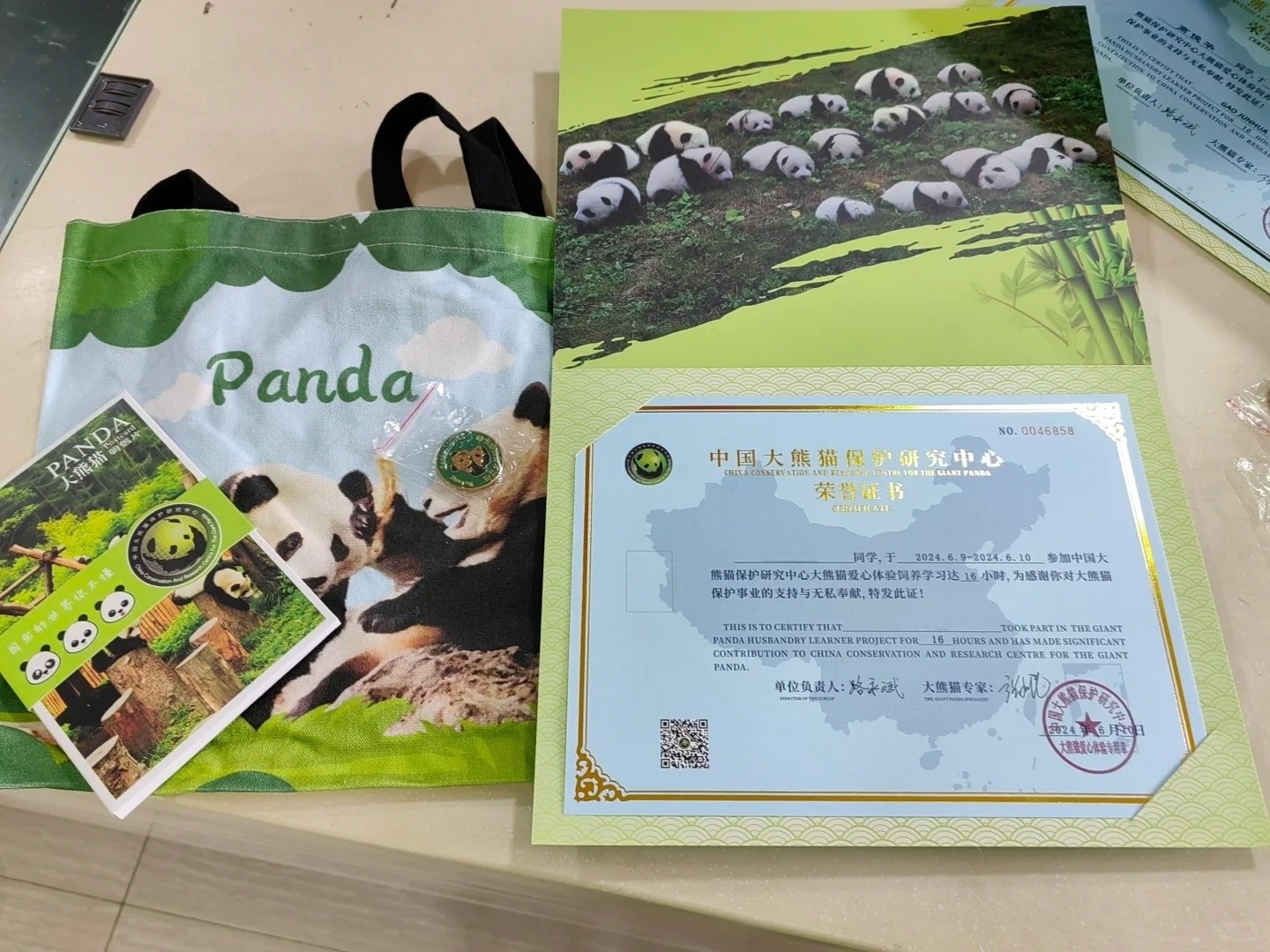 Panda volunteer certificate 